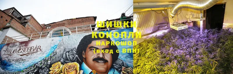 Бошки Шишки OG Kush  цены   Ветлуга 